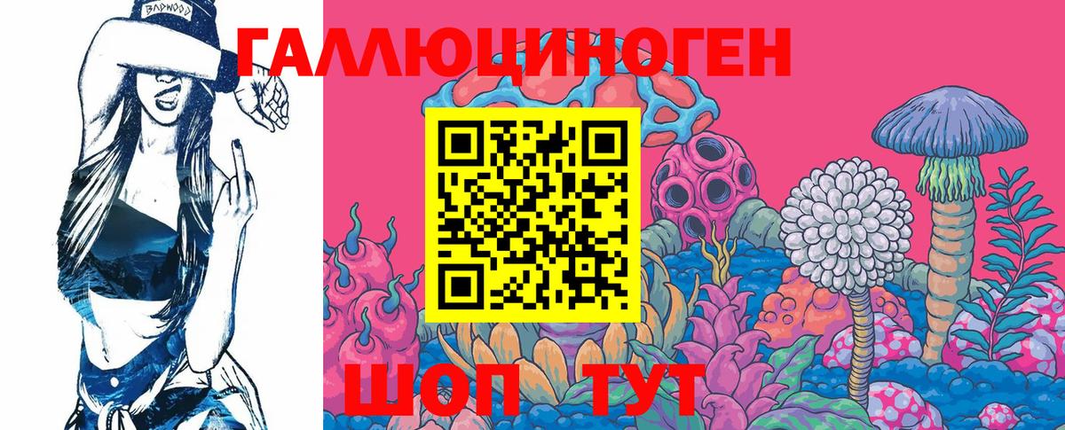 Псилоцибиновые грибы мухоморы Новороссийск
